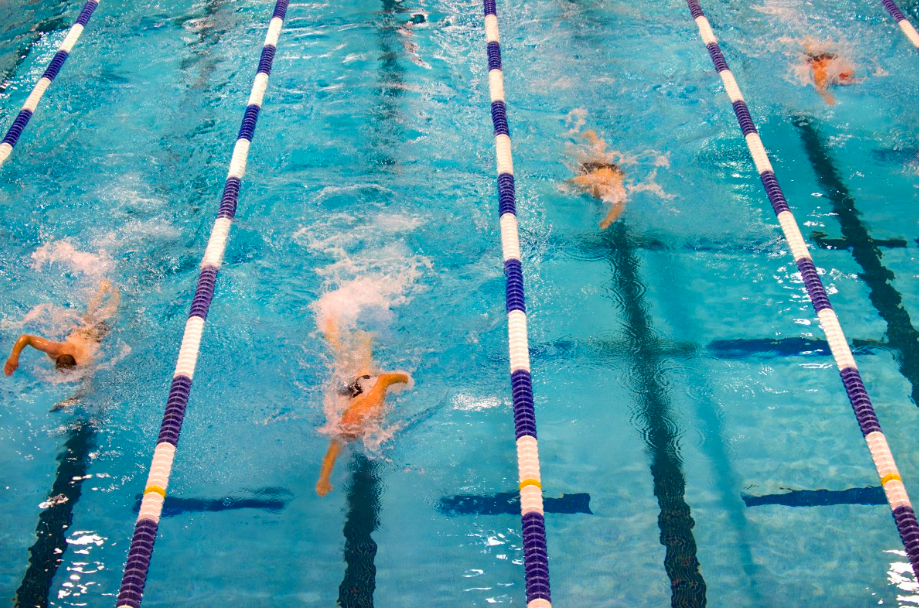 Découvrez Les Activités Aquatiques De Toulouse Swimmy Le Blog