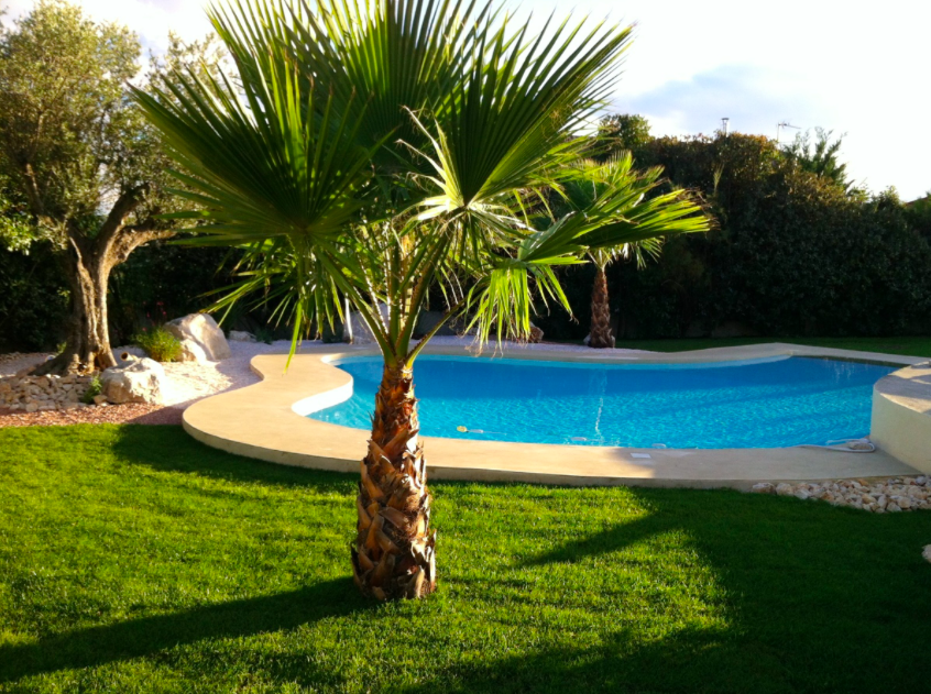 Trouvez une piscine privée à Montpellier avec Swimmy