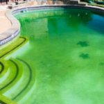 Eau verte piscine