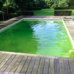 piscine algue verte