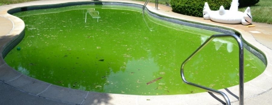 Chlore choc, ma piscine reste verte ! Comment faire ? 