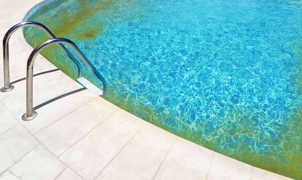 Anti-algue pour piscine, qu'est-ce que c'est et comment l'utiliser ? - Eau  Libre