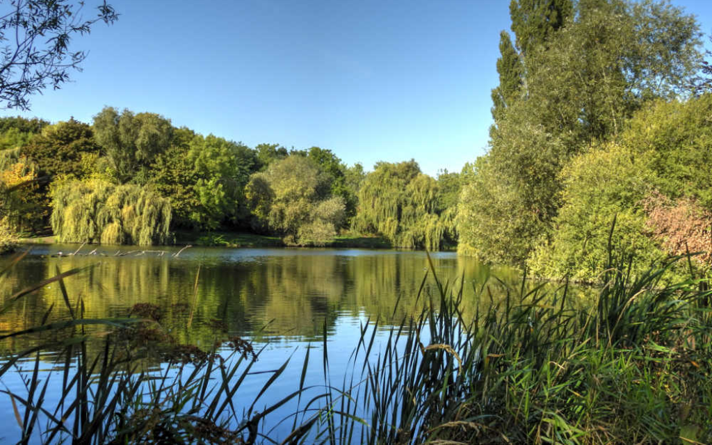 lac banlieue sud